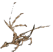 Skeletal Dragon