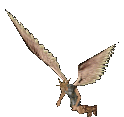 Crystal Lattice Seeker