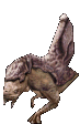 Ridgeback