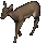Hind