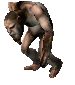 Troglodyte
