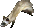 Ferret