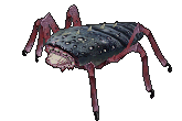 Fleshrenderer