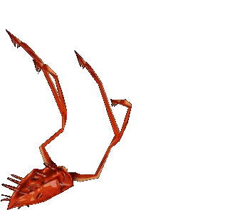 Kraken