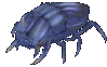 Giant Beetle