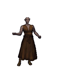 Elf Brigand equipped